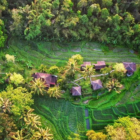Oemah Tepi Sawah Villa