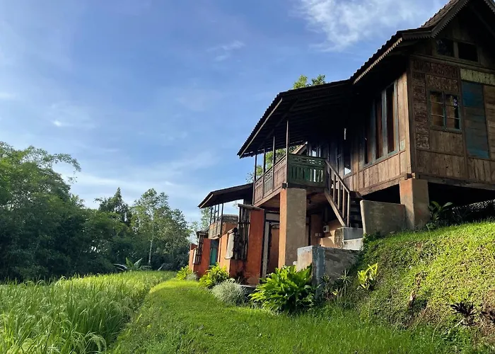 Oemah Tepi Sawah