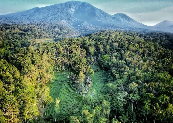Oemah Tepi Sawah *